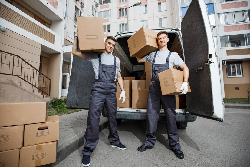 storage removals